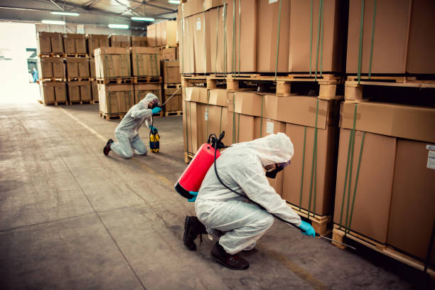 Best Termite Control Services  in Princevle, IL