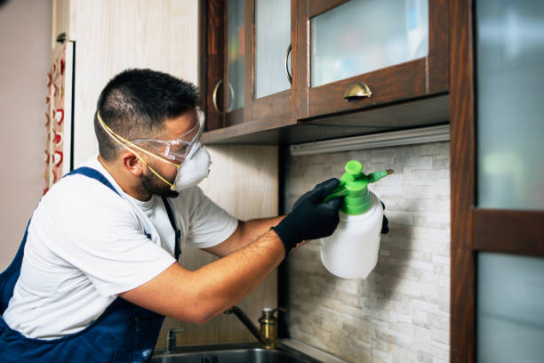 Best Cockroach Control Services  in Princevle, IL