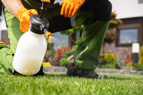 Best Wasp Removal Services  in Princevle, IL