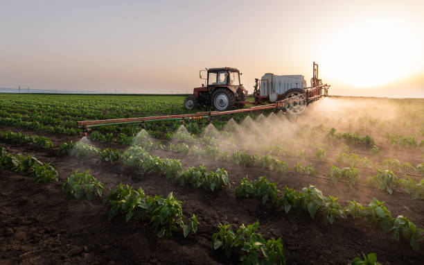 Best Ant Control Services  in Princevle, IL