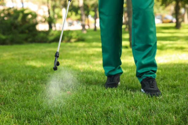 Best Affordable Pest Control Services  in Princevle, IL
