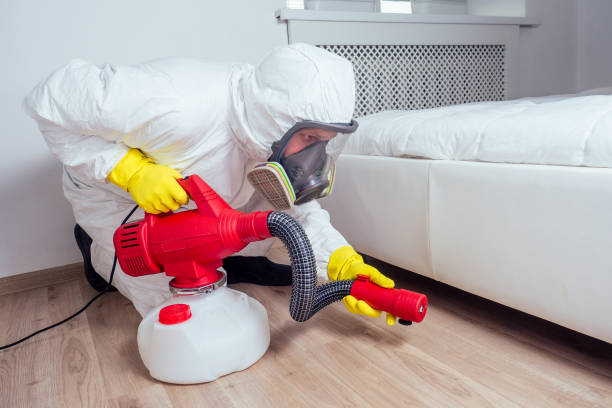 Best Mosquito Control Services  in Princevle, IL