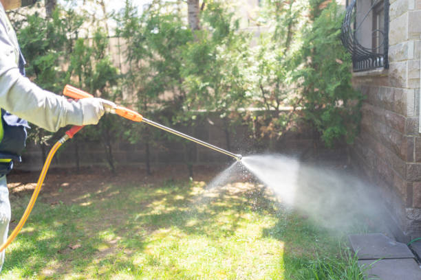 Best Pest Prevention Services  in Princevle, IL