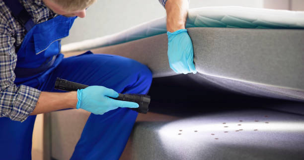 Best Affordable Pest Control Services  in Princevle, IL