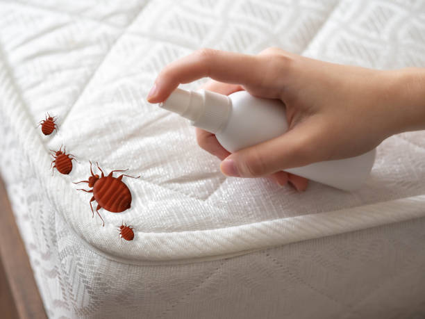 Best Exterminator Services  in Princevle, IL
