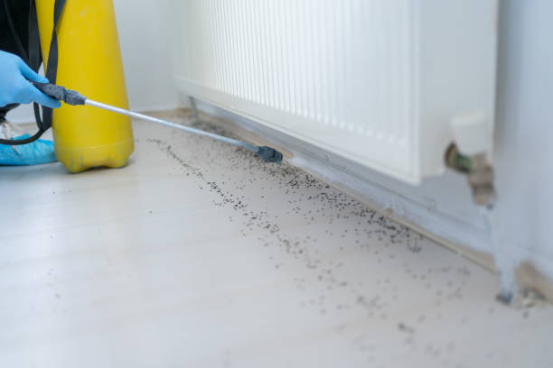 Pest Control for Restaurants in Princeville, IL
