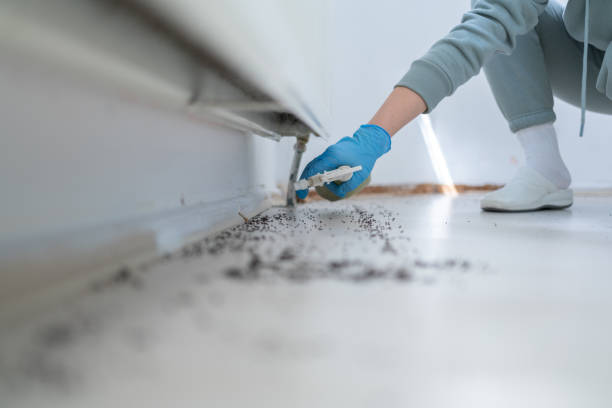 Pest Prevention Services in Princeville, IL