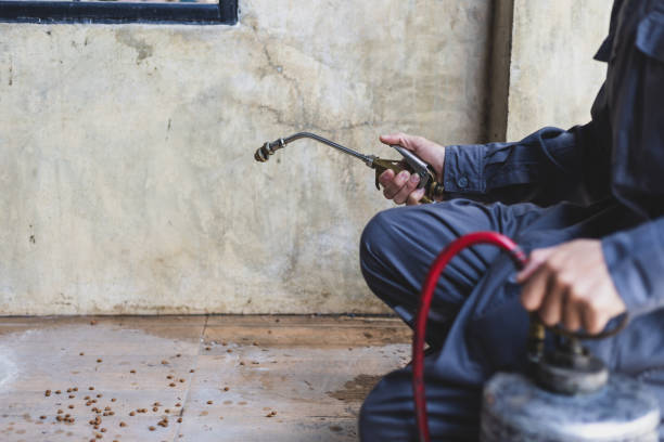 Best Pest Removal Services  in Princevle, IL