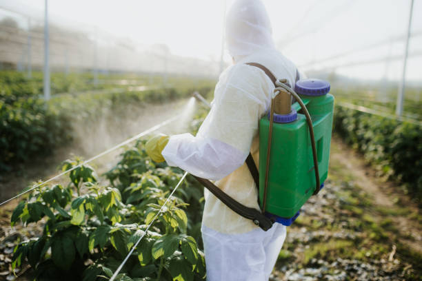 Best Emergency Pest Control  in Princevle, IL